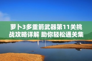 萝卜3多重箭武器第11关挑战攻略详解 助你轻松通关集市关卡技巧解析
