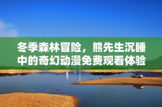 冬季森林冒险，熊先生沉睡中的奇幻动漫免费观看体验