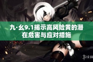 九·幺9.1揭示高风险黄的潜在危害与应对措施