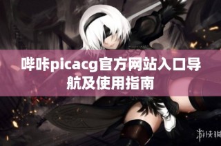 哔咔picacg官方网站入口导航及使用指南