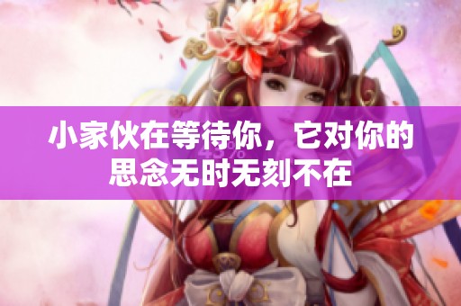 小家伙在等待你，它对你的思念无时无刻不在