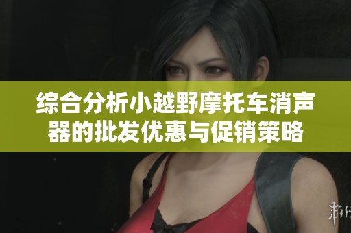 综合分析小越野摩托车消声器的批发优惠与促销策略