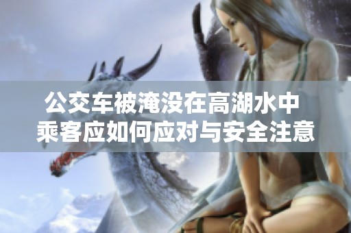 公交车被淹没在高湖水中 乘客应如何应对与安全注意事项