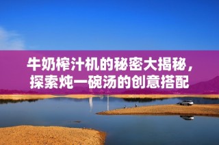 牛奶榨汁机的秘密大揭秘，探索炖一碗汤的创意搭配