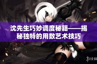 沈先生巧妙调度秘籍——揭秘独特的用数艺术技巧