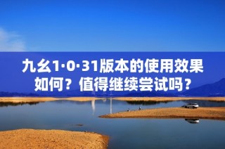 九幺1·0·31版本的使用效果如何？值得继续尝试吗？