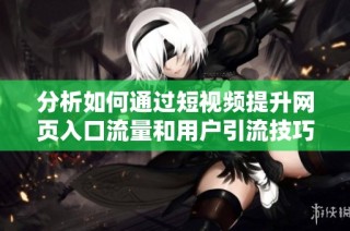 分析如何通过短视频提升网页入口流量和用户引流技巧