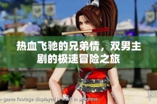 热血飞驰的兄弟情，双男主剧的极速冒险之旅