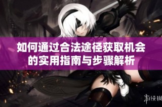 如何通过合法途径获取机会的实用指南与步骤解析