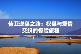 侍卫逆袭之路：权谋与爱情交织的惊险旅程