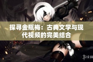 探寻金瓶梅：古典文学与现代视频的完美结合