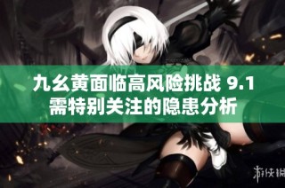 九幺黄面临高风险挑战 9.1需特别关注的隐患分析