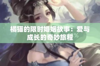 橘猫的限时婚姻故事：爱与成长的奇妙旅程