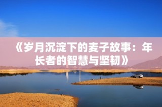 《岁月沉淀下的麦子故事：年长者的智慧与坚韧》