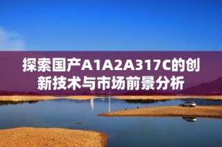 探索国产A1A2A317C的创新技术与市场前景分析
