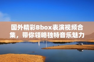 国外精彩Bbox表演视频合集，带你领略独特音乐魅力