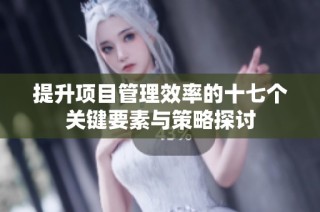 提升项目管理效率的十七个关键要素与策略探讨