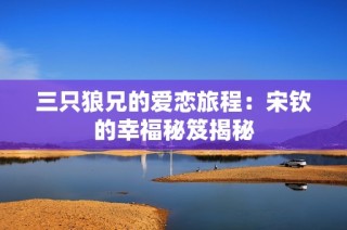 三只狼兄的爱恋旅程：宋钦的幸福秘笈揭秘