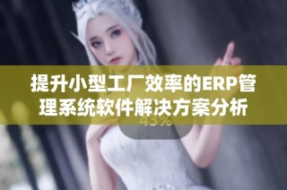 提升小型工厂效率的ERP管理系统软件解决方案分析