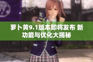 萝卜黄9.1版本即将发布 新功能与优化大揭秘