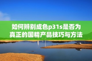 如何辨别成色p31s是否为真正的国精产品技巧与方法分享