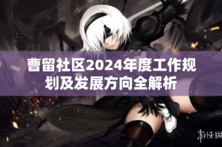 曹留社区2024年度工作规划及发展方向全解析