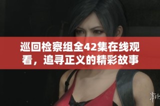 巡回检察组全42集在线观看，追寻正义的精彩故事