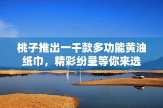 桃子推出一千款多功能黄油纸巾，精彩纷呈等你来选