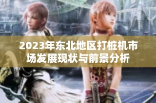 2023年东北地区打桩机市场发展现状与前景分析