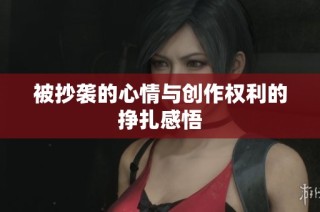 被抄袭的心情与创作权利的挣扎感悟