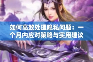 如何高效处理隐私问题：一个月内应对策略与实用建议