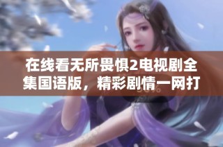 在线看无所畏惧2电视剧全集国语版，精彩剧情一网打尽！