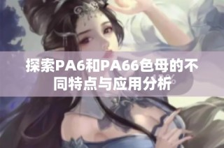 探索PA6和PA66色母的不同特点与应用分析