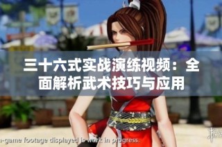 三十六式实战演练视频：全面解析武术技巧与应用