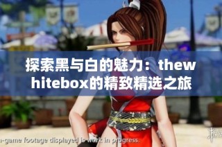 探索黑与白的魅力：thewhitebox的精致精选之旅
