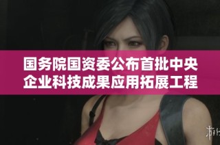 国务院国资委公布首批中央企业科技成果应用拓展工程项目详情