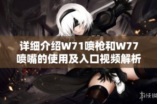 详细介绍W71喷枪和W77喷嘴的使用及入口视频解析