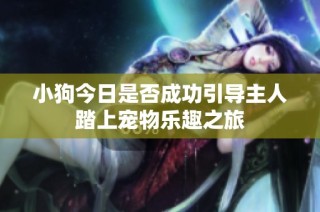 小狗今日是否成功引导主人踏上宠物乐趣之旅