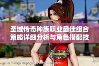 圣域传奇种族职业最佳组合策略详细分析与角色搭配技巧指南