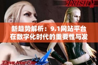 新趋势解析：9.1网站平台在数字化时代的重要性与发展前景