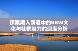 探索黑人荫道中的BBW文化与社群魅力的深度分析