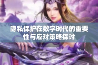 隐私保护在数字时代的重要性与应对策略探讨