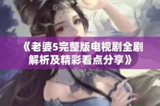 《老婆5完整版电视剧全剧解析及精彩看点分享》