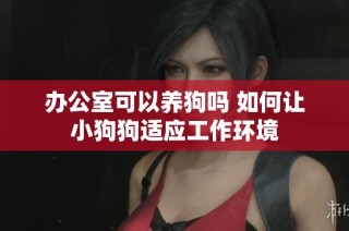 办公室可以养狗吗 如何让小狗狗适应工作环境