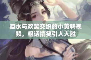 泪水与欢笑交织的小黄鸭视频，粗话搞笑引人入胜