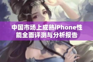中国市场上成熟iPhone性能全面评测与分析报告