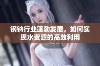 钢钠行业蓬勃发展，如何实现水资源的高效利用