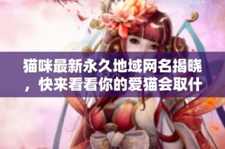 猫咪最新永久地域网名揭晓，快来看看你的爱猫会取什么名字