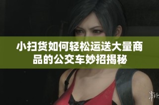 小扫货如何轻松运送大量商品的公交车妙招揭秘