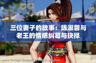 三位妻子的故事：陈淑蓉与老王的情感纠葛与抉择